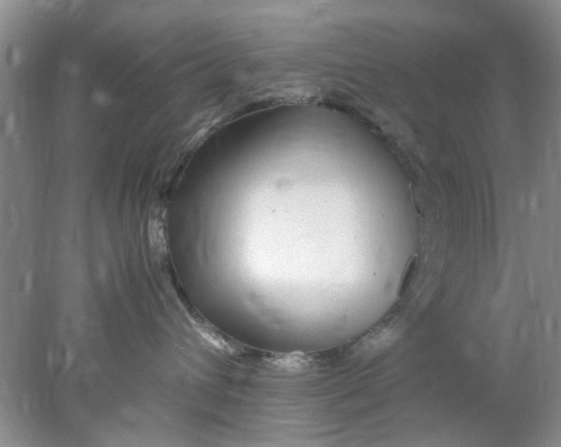 X0000078020432200611171918