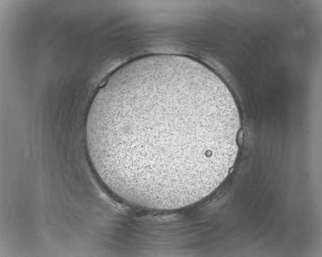 X0000078020433200611171917