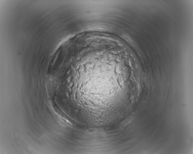 X0000078020434200611171917