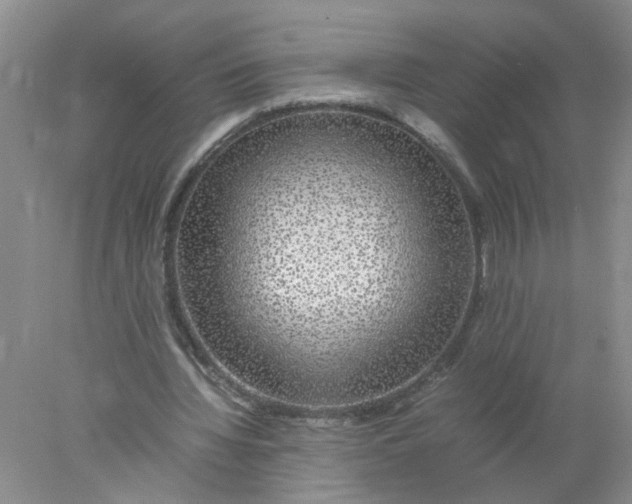 X0000078020436200611171917