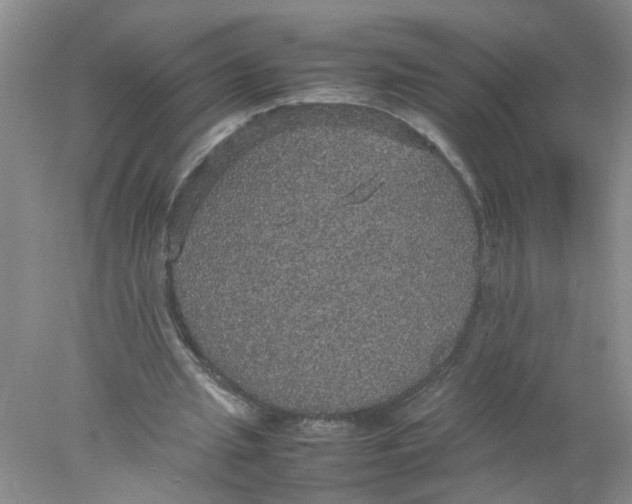 X0000078020437200611171917