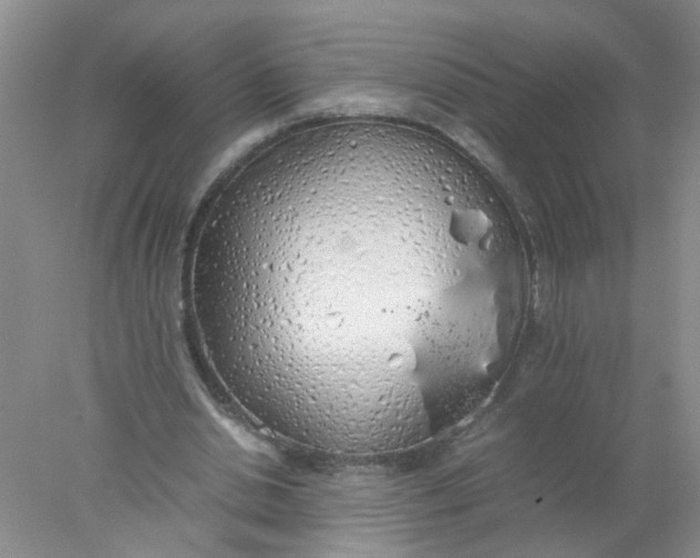 X0000078020438200611171917