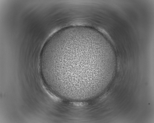 X0000078020439200611171917