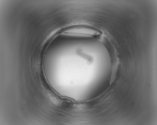 X0000078020440200611171917