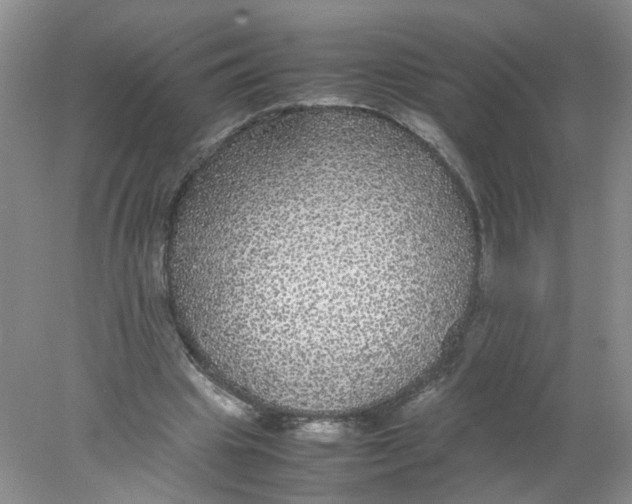 X0000078020441200611171917