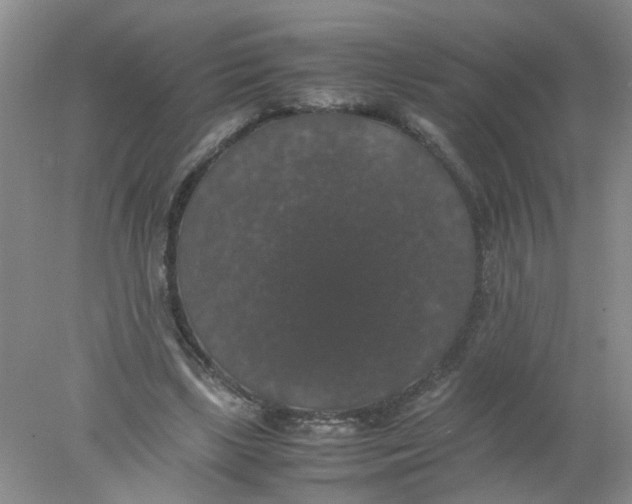 X0000078020443200611171917