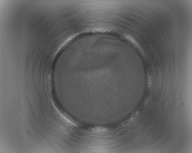 X0000078020444200611171917