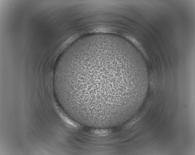 X0000078020445200611171917