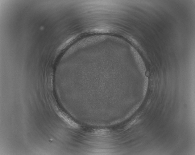 X0000078020446200611171917