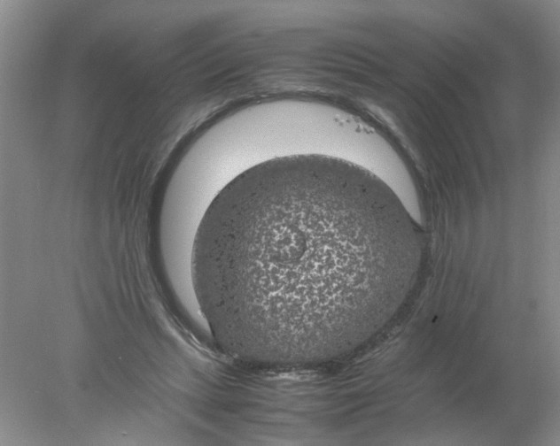 X0000078020447200611171917