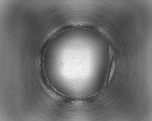 X0000078020448200611171917