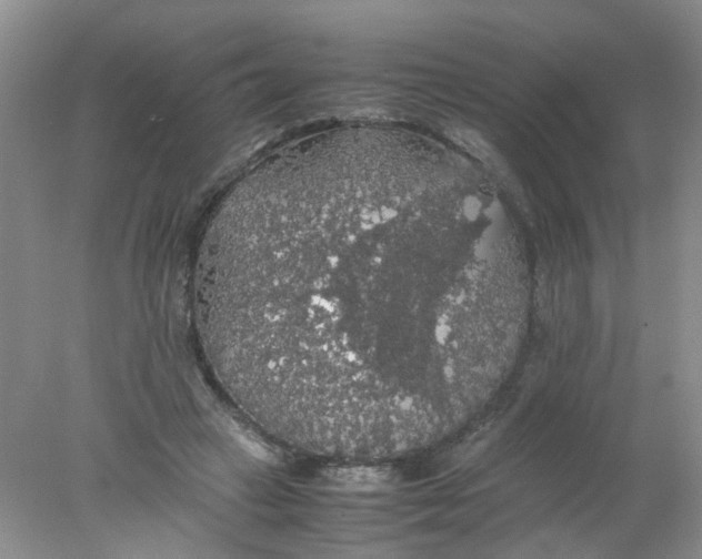 X0000078020449200611171917