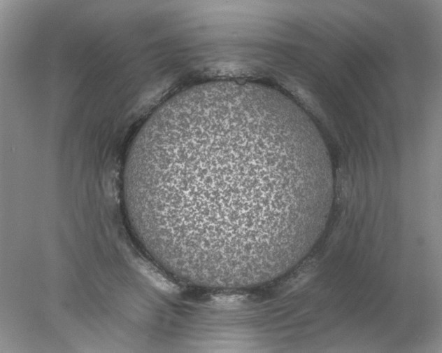 X0000078020450200611171917