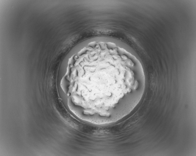 X0000078020451200611171917