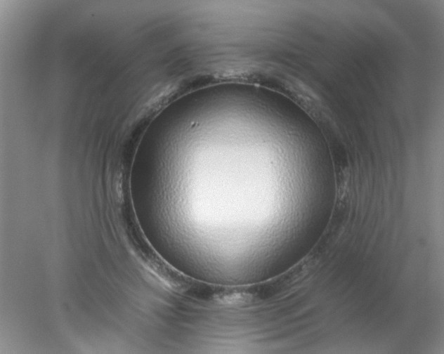 X0000078020452200611171917