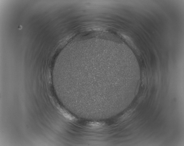 X0000078020453200611171917