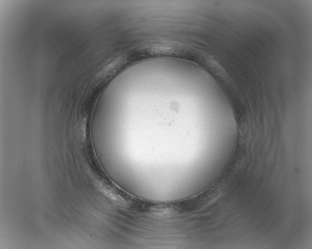 X0000078020454200611171917