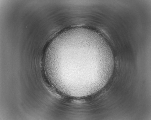 X0000078020455200611171917