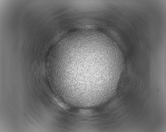 X0000078020457200611171917