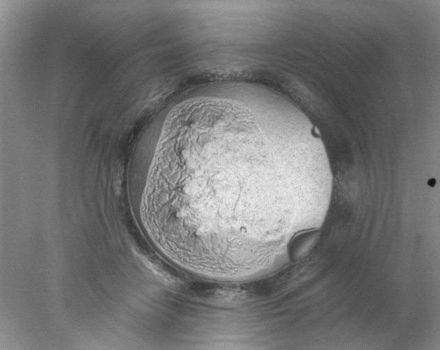 X0000078020458200611171917