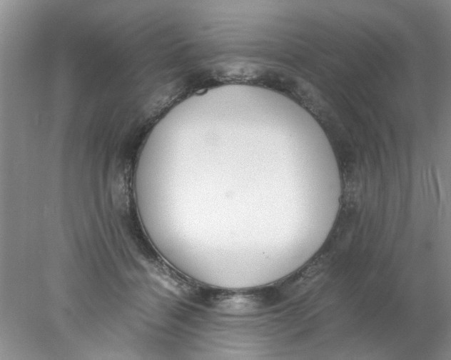 X0000078020460200611171917