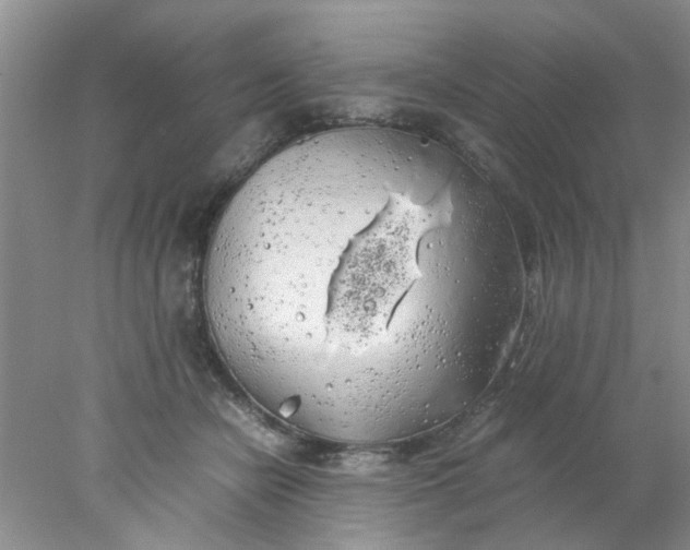 X0000078020462200611171917