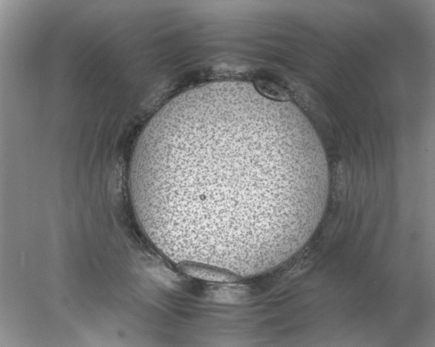 X0000078020463200611171917