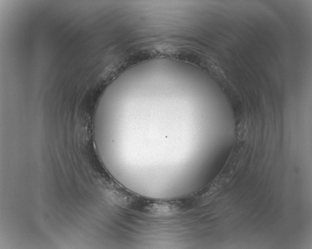 X0000078020464200611171917