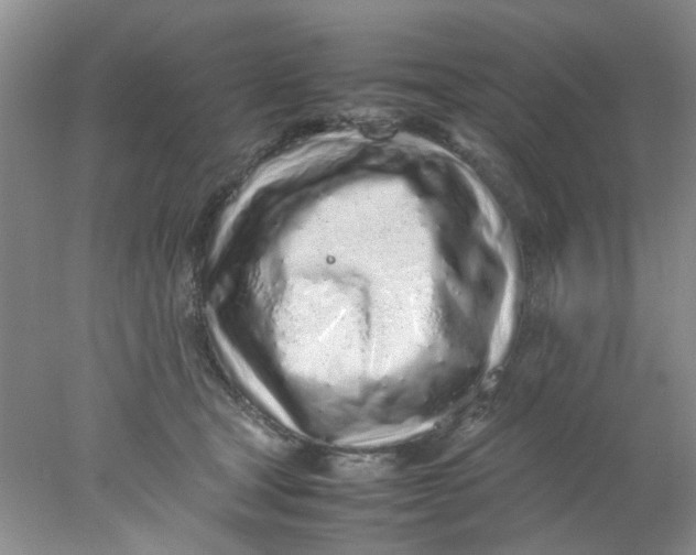 X0000078020465200611171917