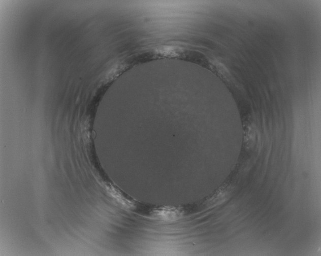 X0000078020466200611171917