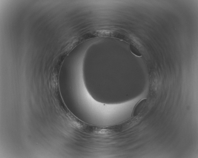 X0000078020467200611171917