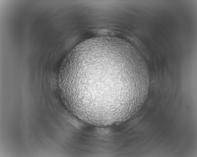 X0000078020469200611171917