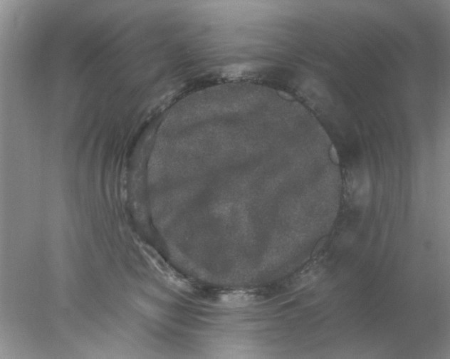 X0000078020470200611171917