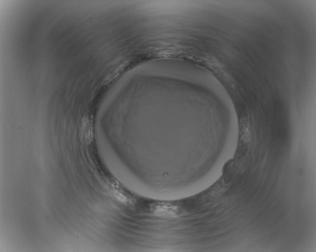 X0000078020471200611171917