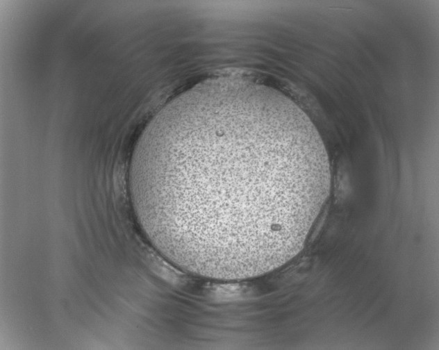 X0000078020473200611171917