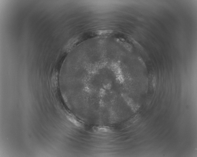 X0000078020475200611171917