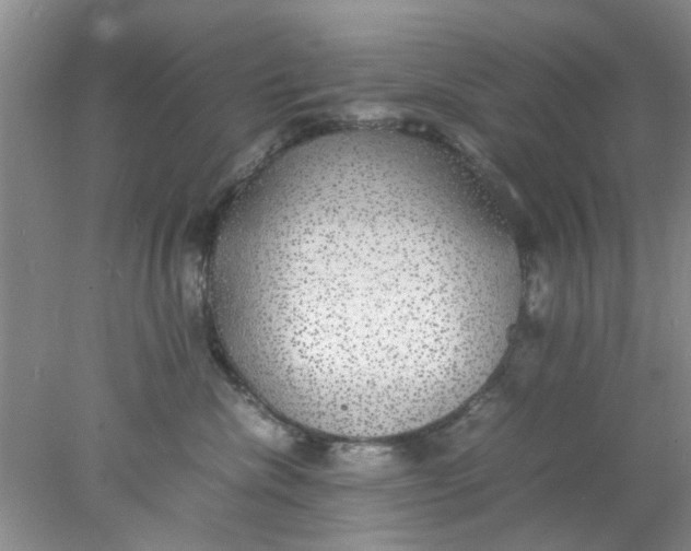 X0000078020476200611171917