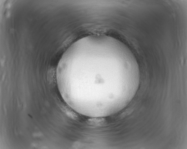 X0000078020480200611171918