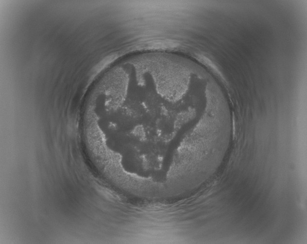 X0000078020483200611171917