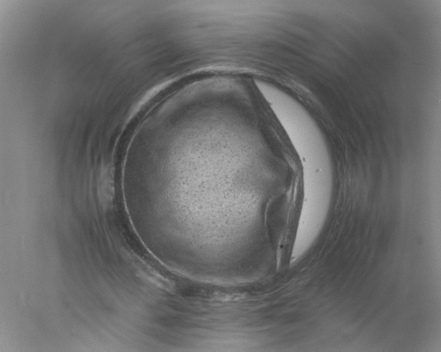 X0000078020484200611171917