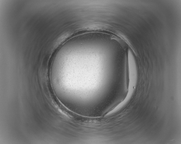 X0000078020485200611171917