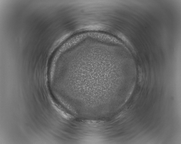 X0000078020486200611171917