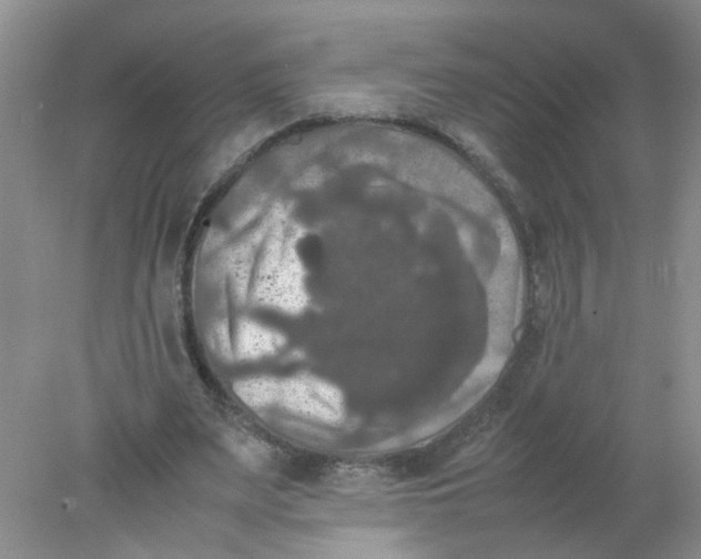 X0000078020487200611171917