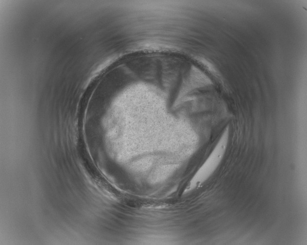 X0000078020488200611171917