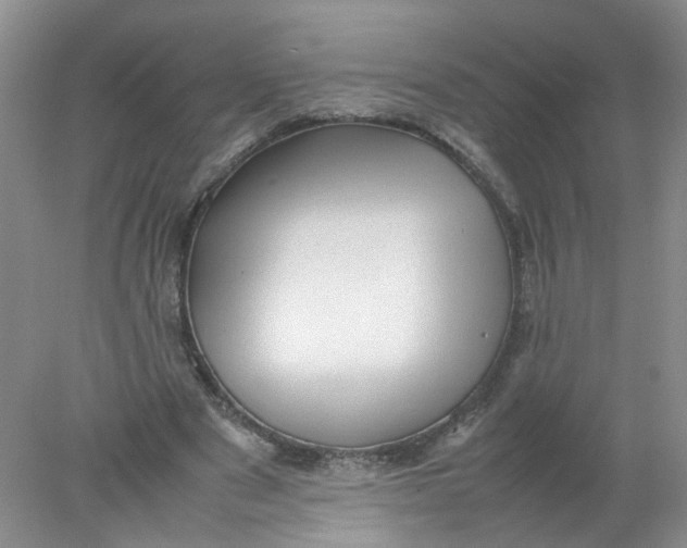 X0000078020489200611171917