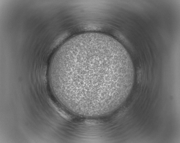 X0000078020490200611171917