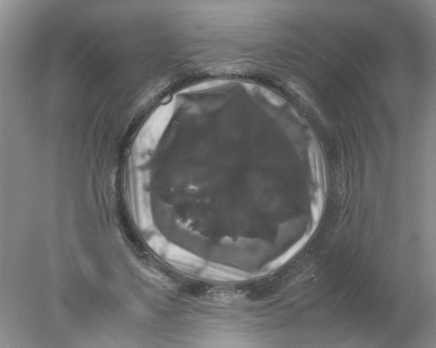 X0000078020491200611171917