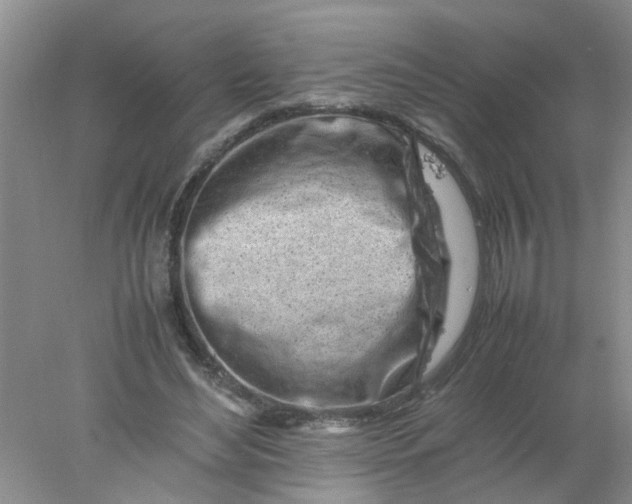 X0000078020492200611171917