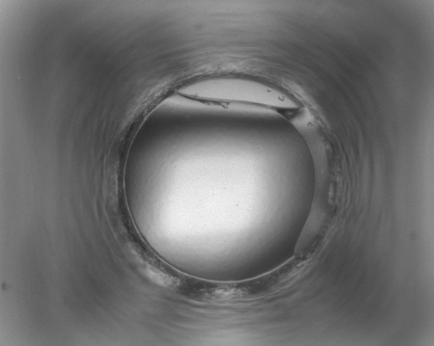 X0000078020493200611171917