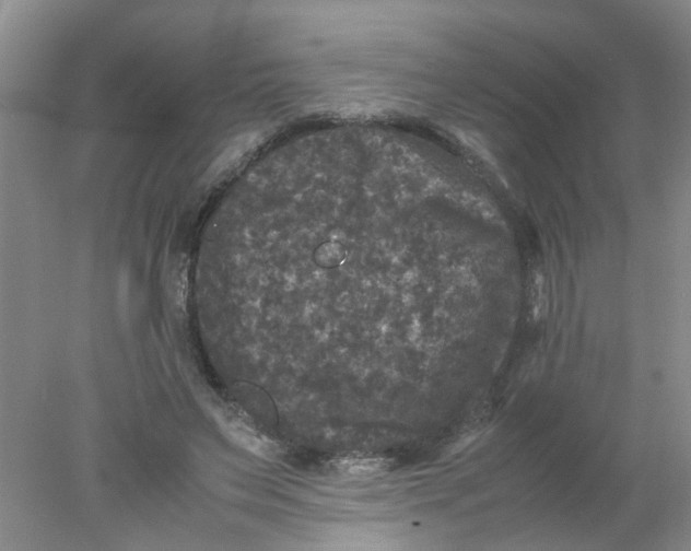 X0000078020495200611171917